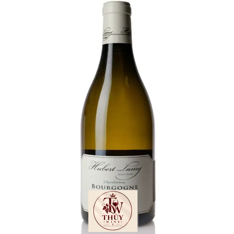 Địa chỉ mua vang phap bourgogne hubert lamy les chataigniers chardonnay giá rẻ nhất