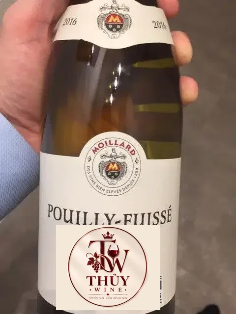 Moillard Sous La Grotte Pouilly-Fuissé 2017