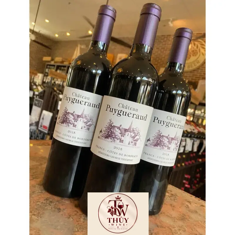 Địa chỉ bán vang phap chateau puygueraud francs cotes de bordeaux giá rẻ tại Sài Gòn