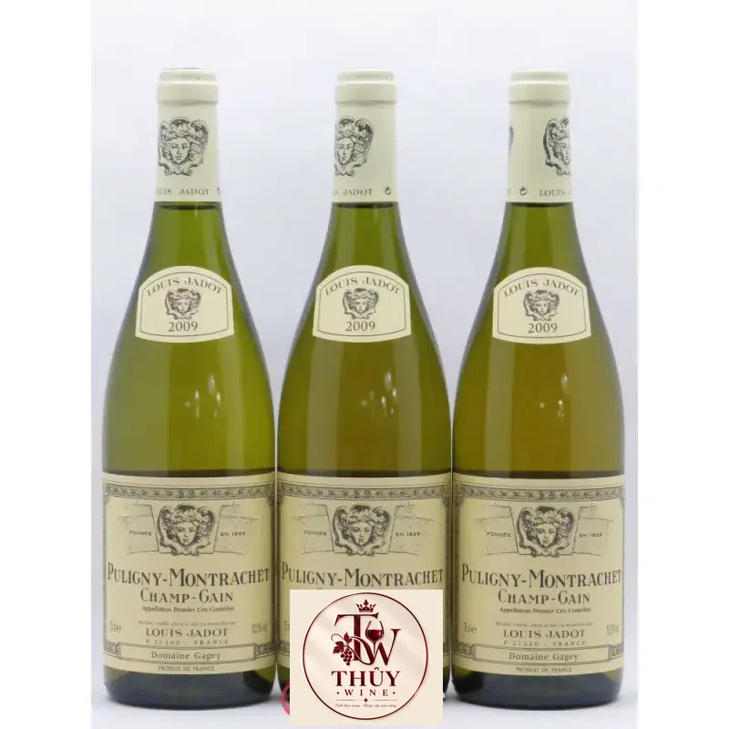 Địa chỉ bán vang phap puligny montrachet les pucelles louis jadot giá rẻ tại Sài Gòn