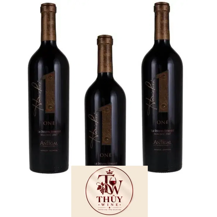 Vang Argentina 1 One Malbec La Dolores Vineyard Antigal