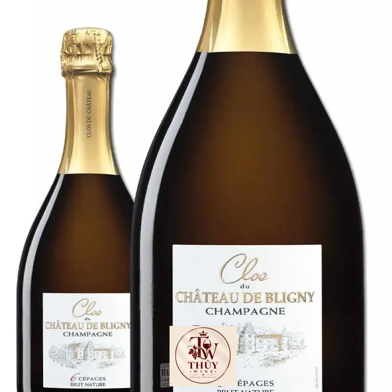 ruou champagne clos du chateau de bligny brut nature mua ở đâu giá rẻ nhất