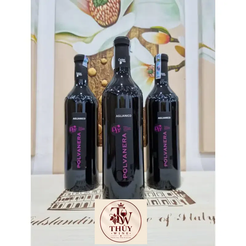 Địa chỉ bán ruou vang do chat aglianico polvanera puglia organic wine giá rẻ tại Hà Nội