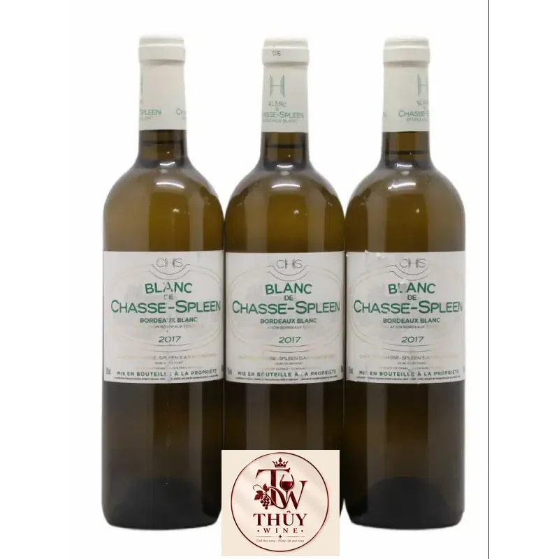 Địa chỉ mua vang phap blanc de chasse spleen bordeaux blanc giá rẻ nhất