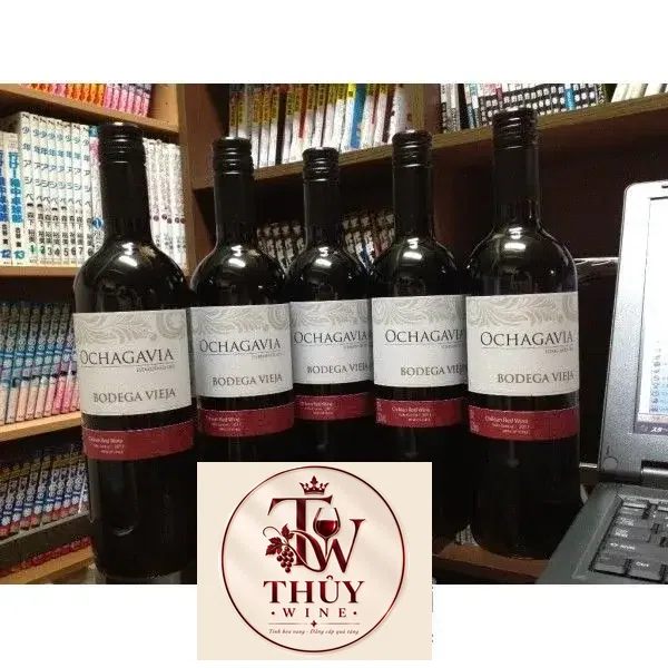 Vang Chile OCHAGAVIA BODEGA VIEJA RED