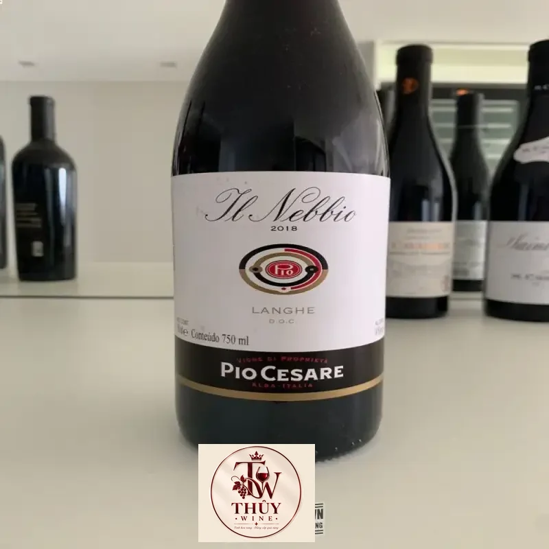 Mua ruou vang y y pio cesare il nebbio langhe giá rẻ tại Sài Gòn