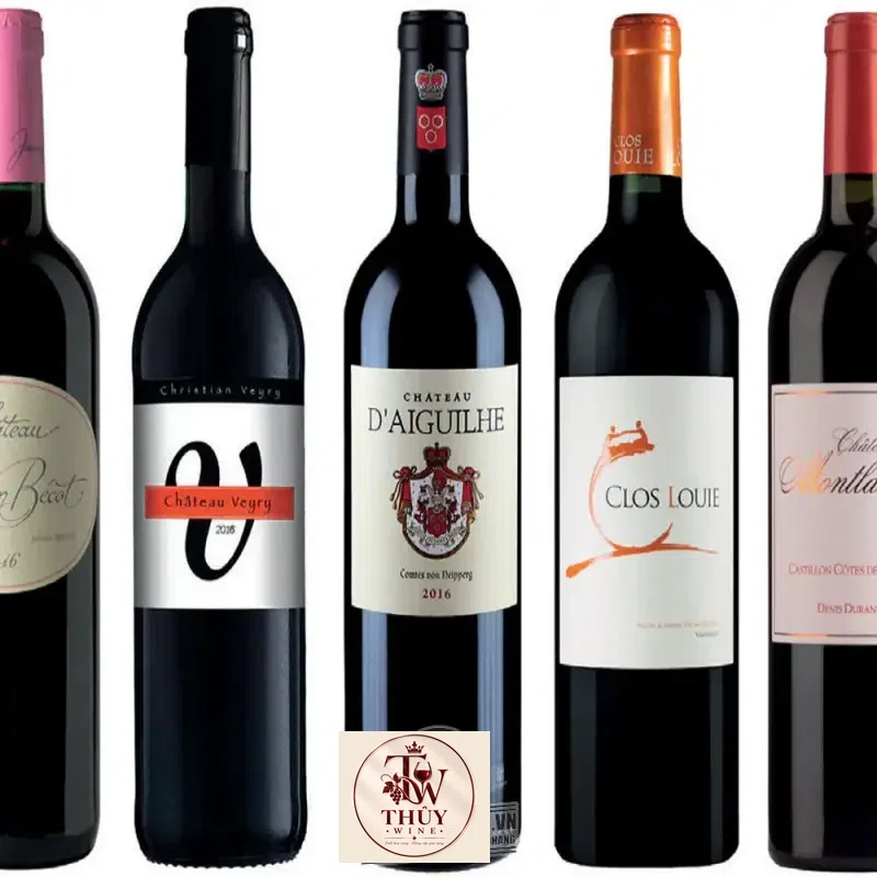 Địa chỉ bán vang phap chateau daiguilhe castillon giá rẻ tại Sài Gòn