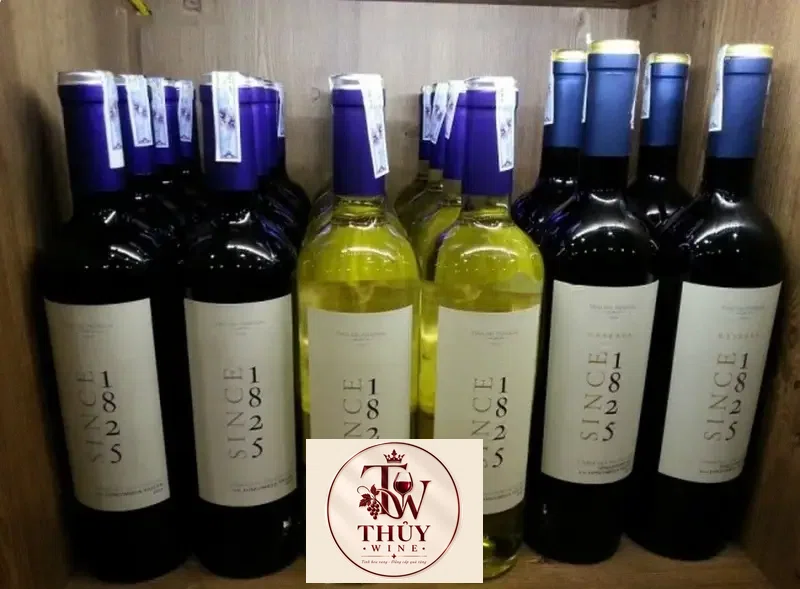 Vang Chile Since 1825 Cabernet Sauvignon