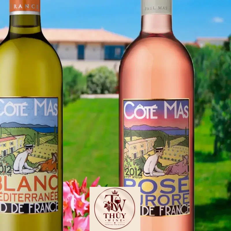 Vang Pháp COTE MAS BLANC MEDITERRANEE SUD DE FRANCE