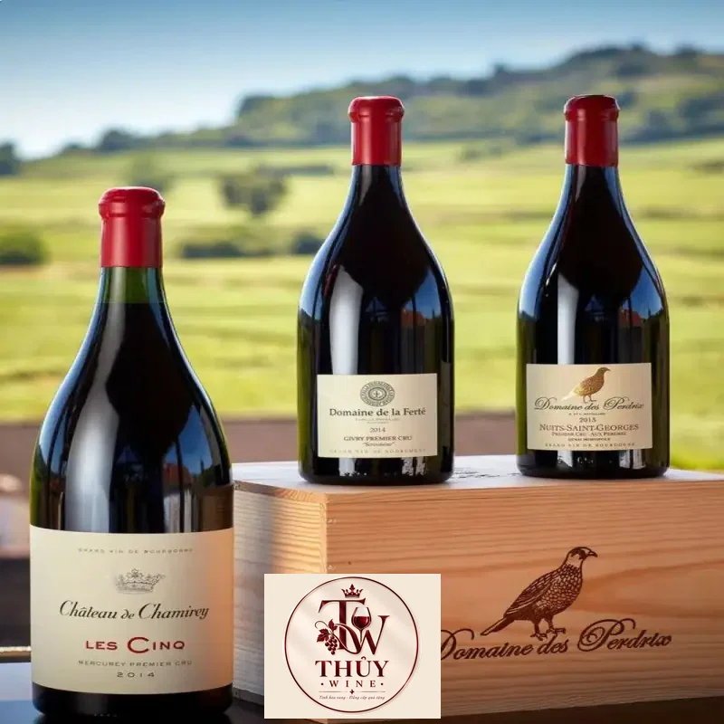 Địa chỉ bán vang phap domaine des perdrix nuits saint georges premier cru giá rẻ tại Hà Nội