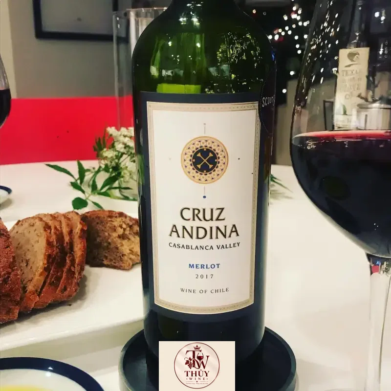 Vang Chile Cruz Andina Merlot