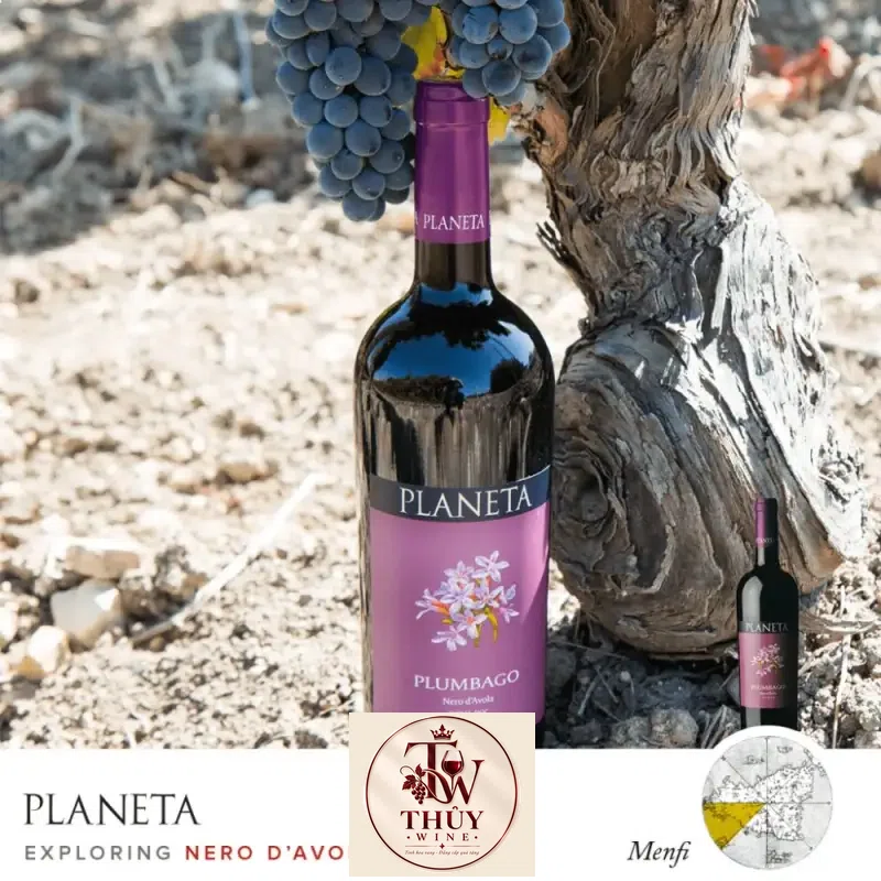 Địa chỉ bán vang y planeta plumbago nero davola sicilia giá rẻ tại Sài Gòn