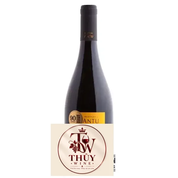Vang Chile Montgras ANTU Syrah