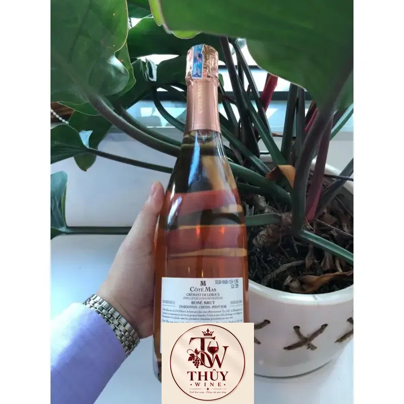 Mua vang no phap da cremant de limoux rose cao cap giá rẻ tại Hà Nội