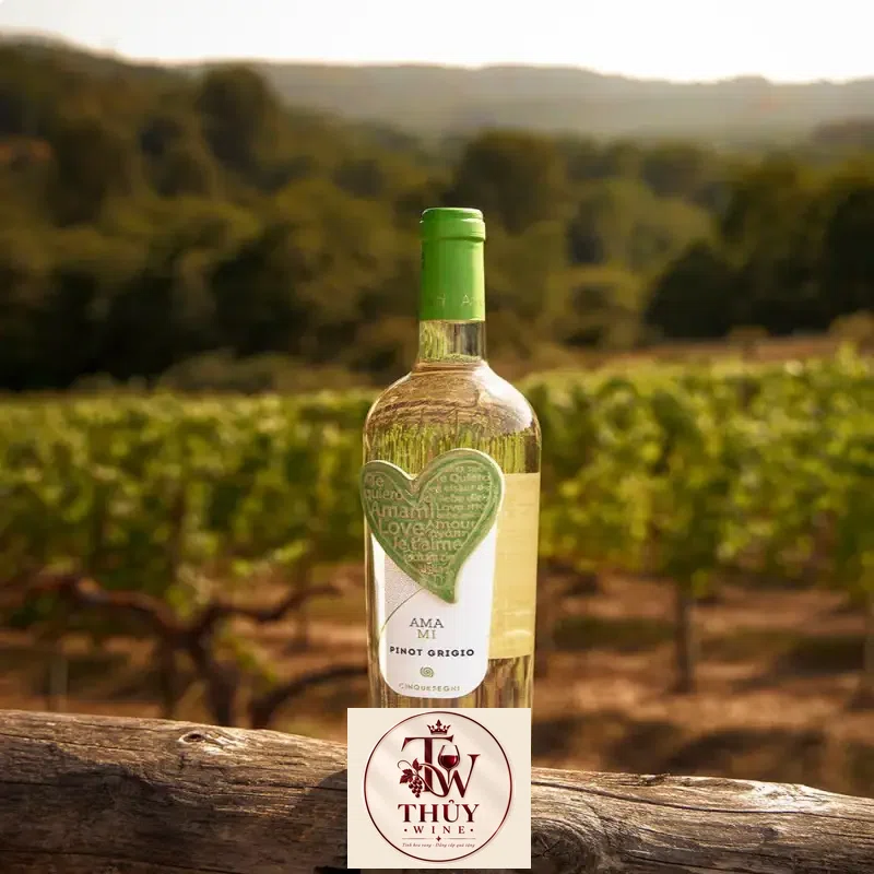vang y amami pinot grigio mua ở đâu giá rẻ nhất