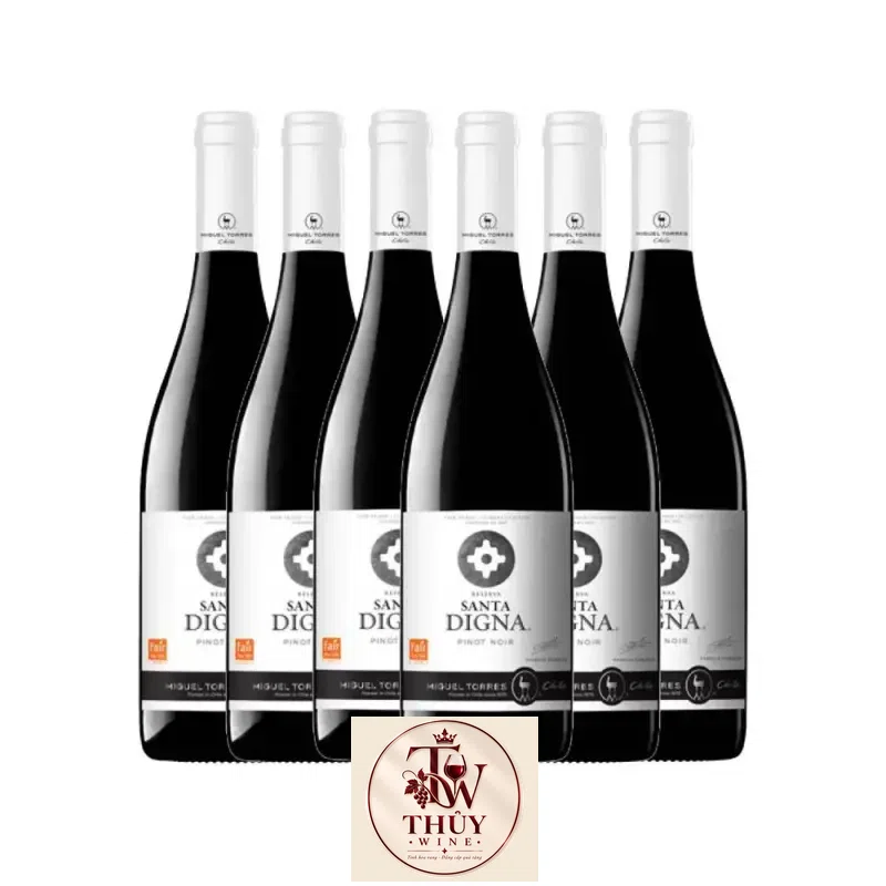 Địa chỉ mua vang chile santa digna pinot noir giá rẻ nhất