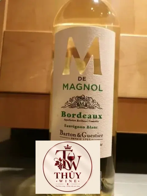 Château Magnol M de Magnol Bordeaux Blanc | Wine Info