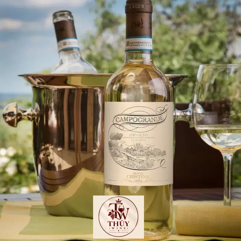 Địa chỉ mua ruou vang y santa cristina campogrande orvieto classico giá rẻ nhất