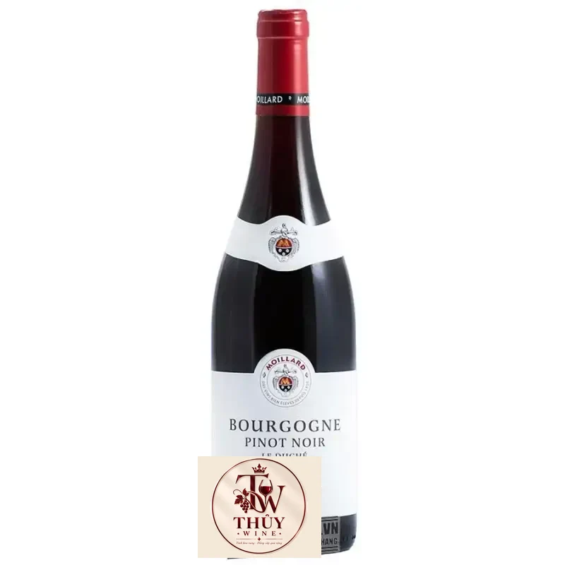 Vang Pháp MOILLARD BOURGOGNE PINOT NOIR