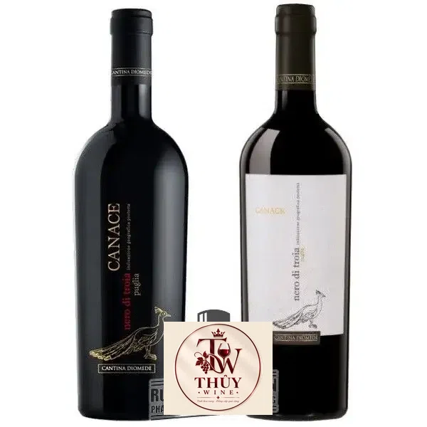 Vang Ý CANACE NERO DI TROIA