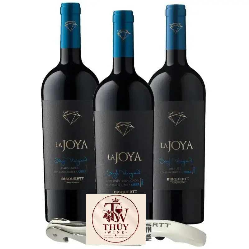 Vang Chile La Joya Single Vineyard Cabernet Sauvignon Bisquertt