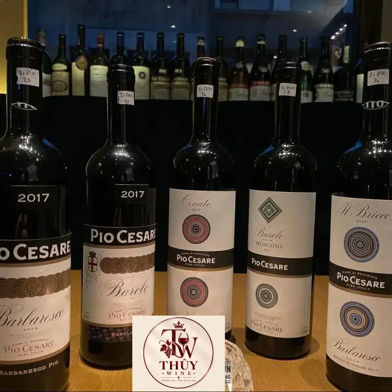 vang-y-pio-cesare-mosconi-barolo