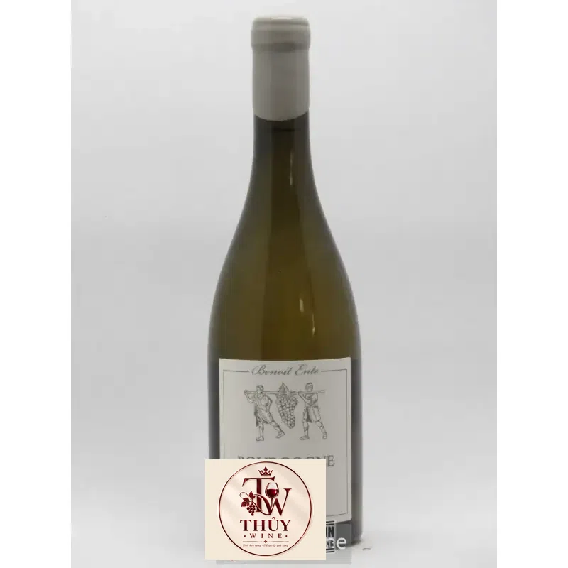 vang phap bourgogne chardonnay benoit ente giá bao nhiêu