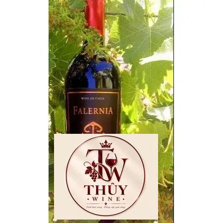Vang Chile FALERNIA CARMENERE GRAN RESERVA