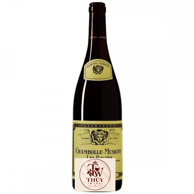 Vang Pháp Chambolle Musigny Les Baudes Louis Jadot cao cấp