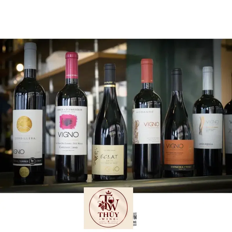 Vang Chile Vigno Old Vines Dry Farmed Concha Y Toro Carignan