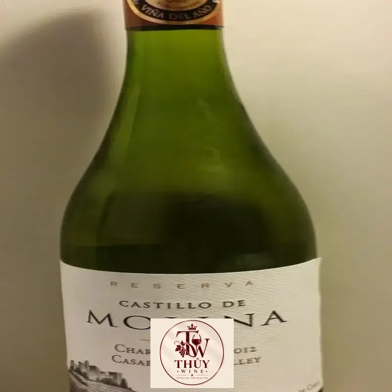 Giá vang chile castillo de molina reserva chardonnay chiet khau cao
