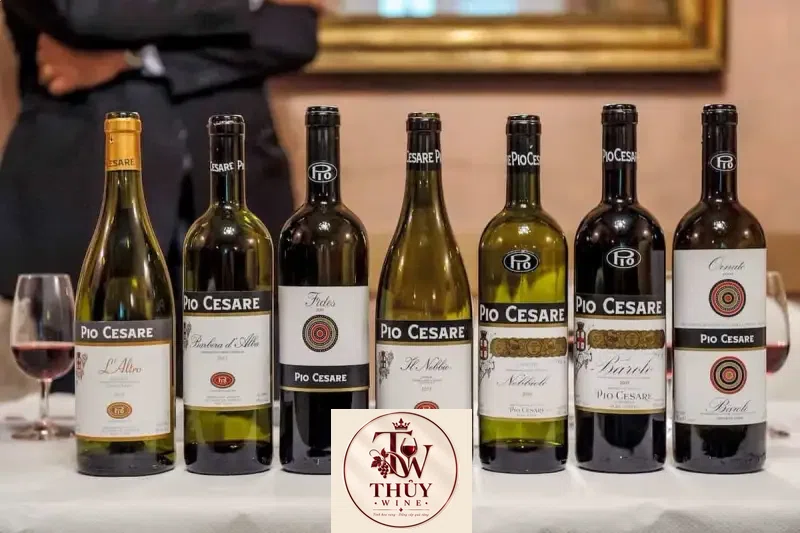 Vang Ý Pio Cesare Barbera d