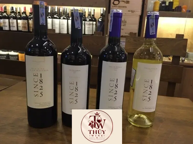 Vang Chile Since 1825 Cabernet Sauvignon