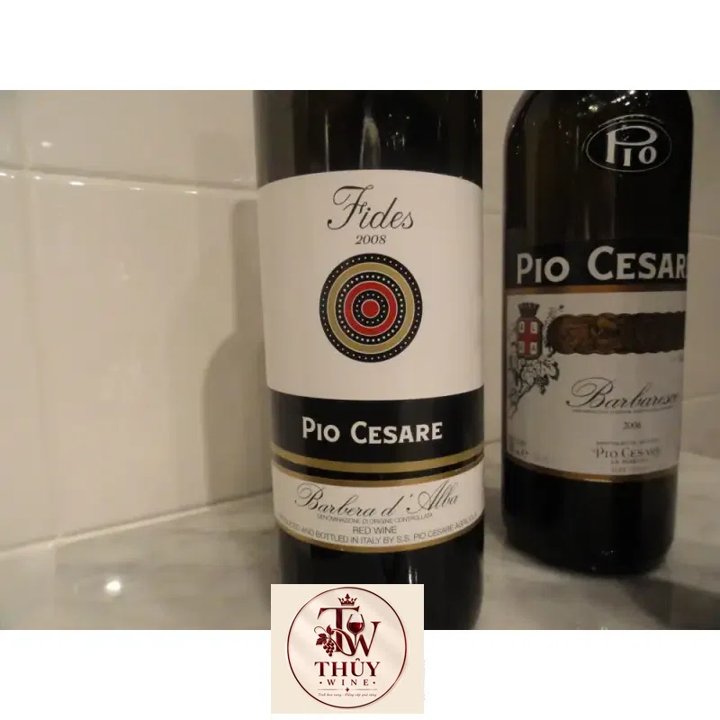 Địa chỉ bán vang y pio cesare fides barbera d alba giá rẻ tại Sài Gòn