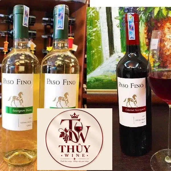 Vang Chile Paso Fino Central Valley Đỏ - Trắng