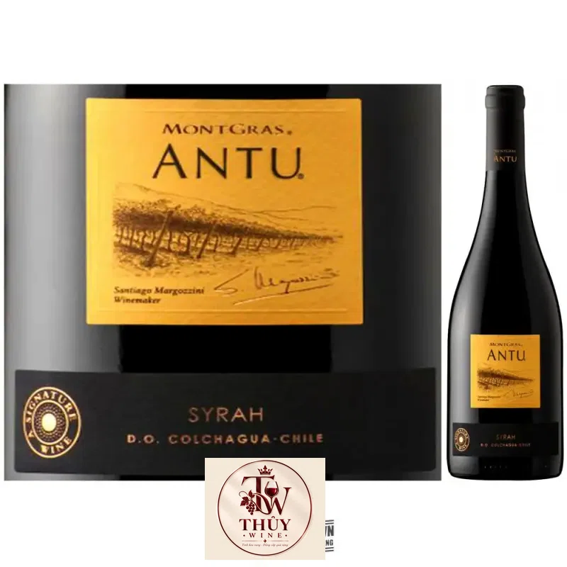 Địa chỉ bán vang chile antu shiraz giá rẻ nhất