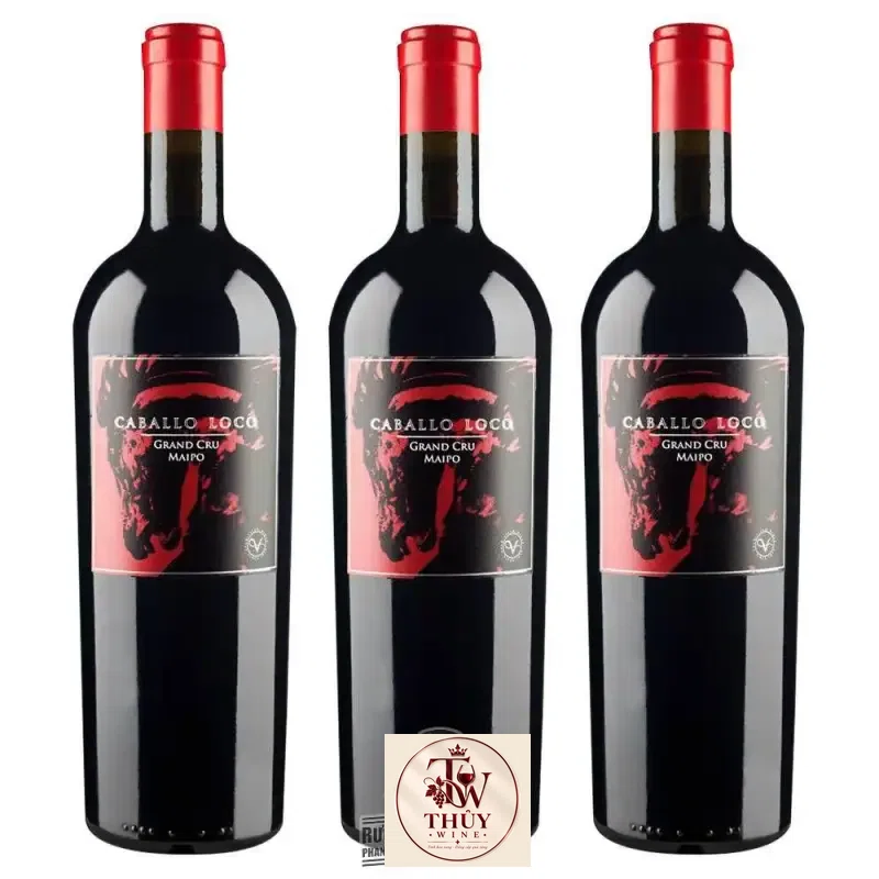 Vang Chile Caballo Loco Grand Cru Maipo Andes