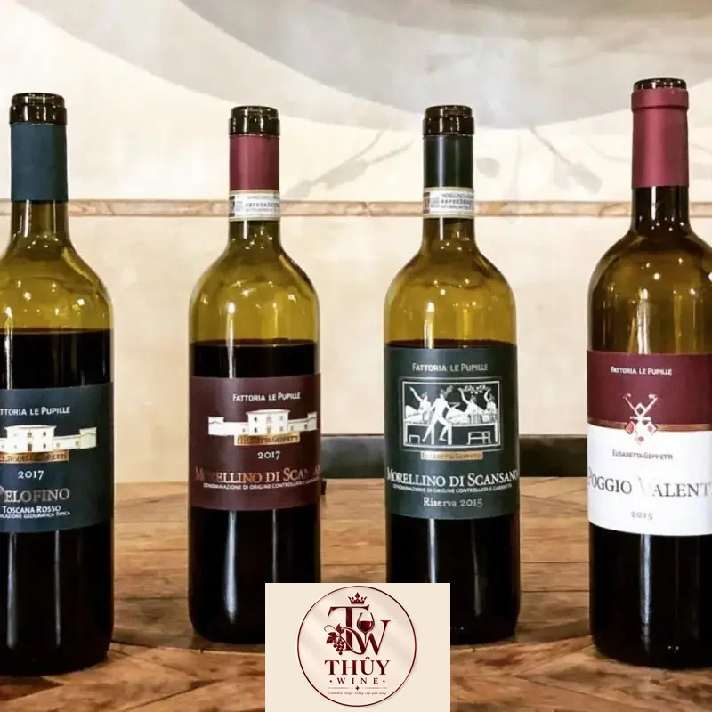 Giá vang y pelofino toscana rosso fattoria le pupille