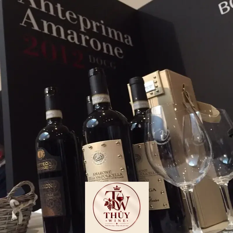 Vang Ý Amarone Bottega cao cấp