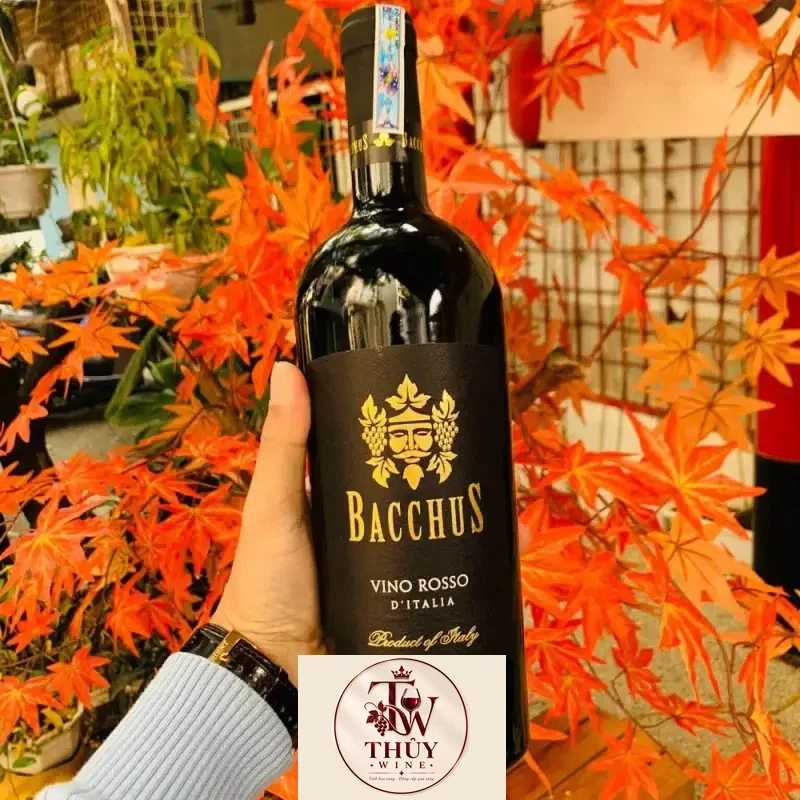 Vang Ý Bacchus Vino Rosso IGP uống ngon