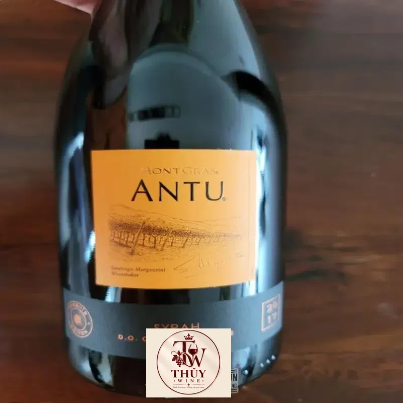 Mua vang chile antu shiraz giá rẻ tại Hà Nội