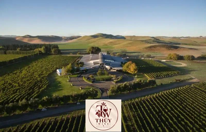 Vang NEW ZEALAND SILENI PINOT NOIR EXCEPTIONAL