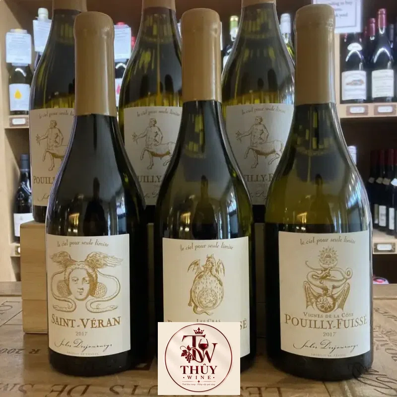 Địa chỉ bán vang phap domaine jules desjourneys saint veran giá rẻ tại Sài Gòn