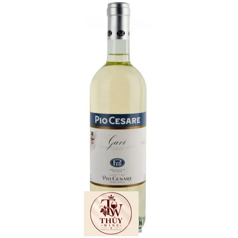 Vang Ý Pio Cesare Gavi Thượng hạng