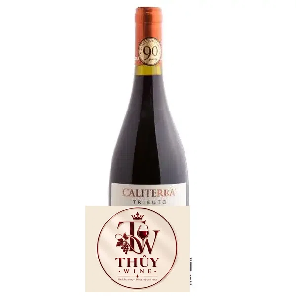 Vang Chile CALITERRA Tributo Syrah