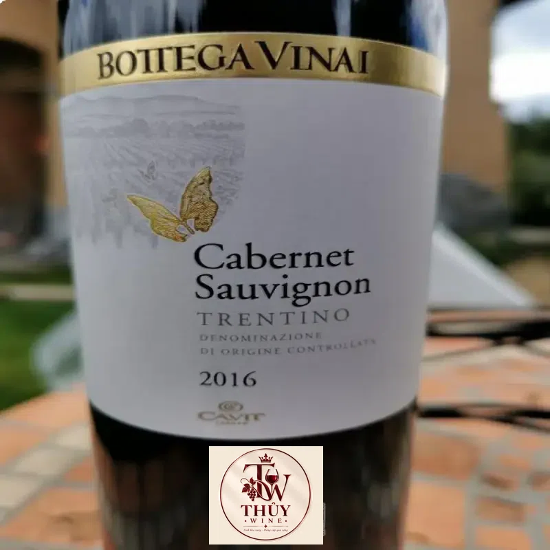 Mua vang y bottega vinai cabernet sauvignon giá rẻ tại Sài Gòn