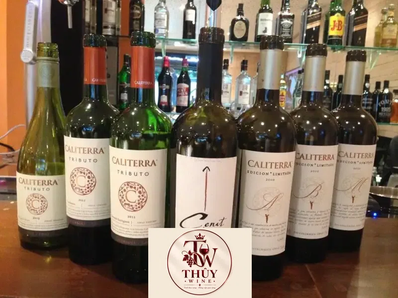 Vang Chile CALITERRA Edicion Limitada A