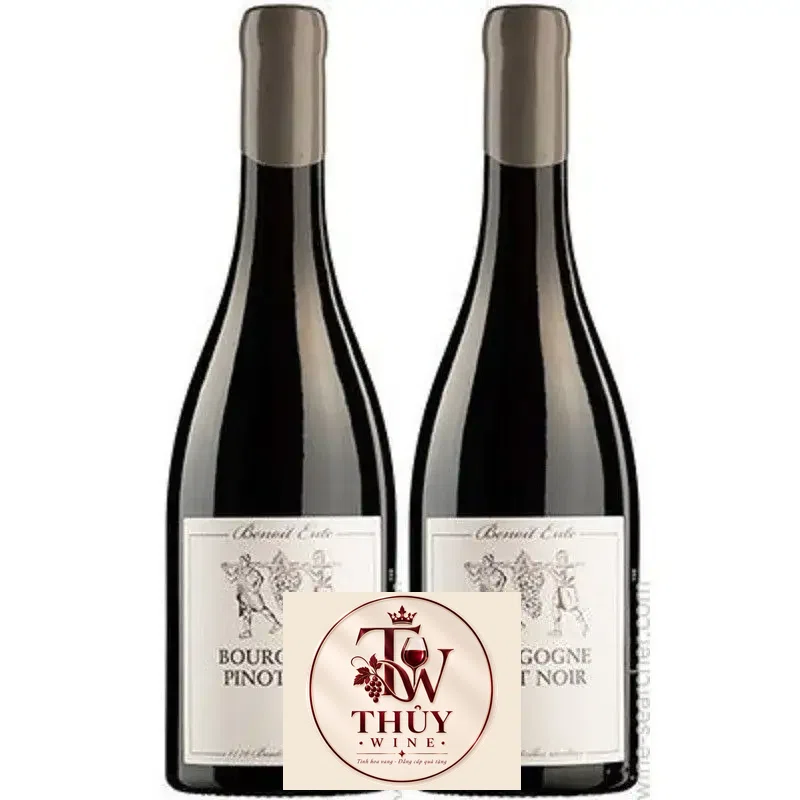 Mua pinot noir benoit ente giá rẻ tại Hà Nội