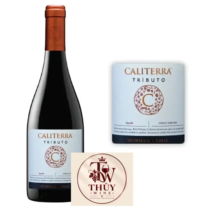 Vang Chile CALITERRA Tributo Syrah