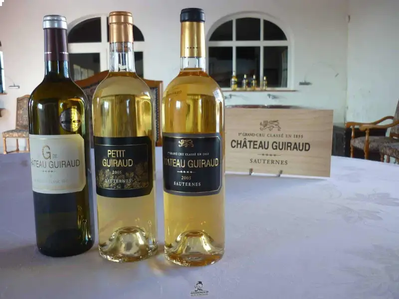 Vang ngọt cao cấp Pháp Chateau Guiraud G